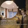 Interruptor de Luz de Pared Inteligente WiFi 2 Vías – Negro elegante